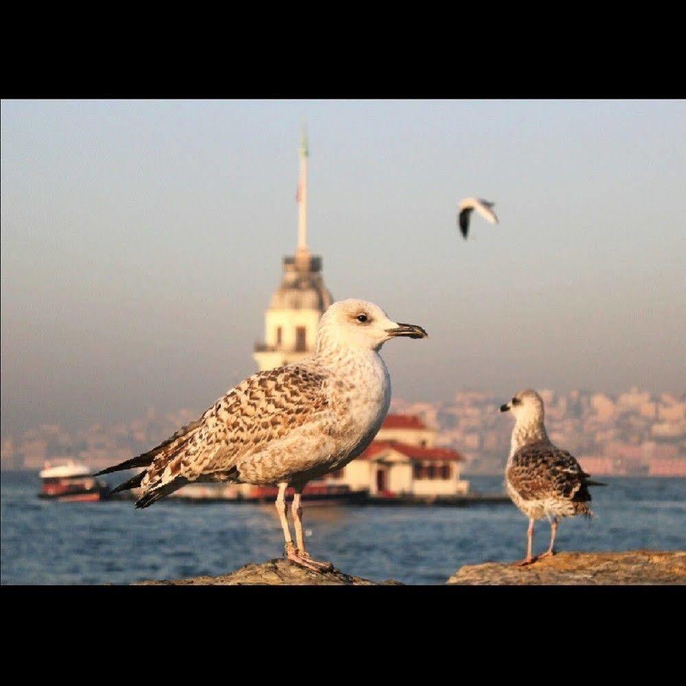 Luxury Grand Bazaar Suites Istanbul Exteriör bild